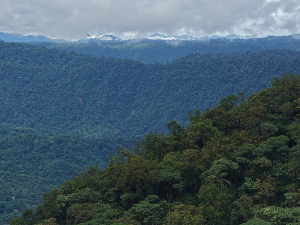 Mountains covered in cloud forest are emblematic of the Mindo Biological Corridor.