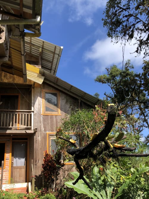 The guest rooms at Mindo Lindo are located across from the main house and gardens.