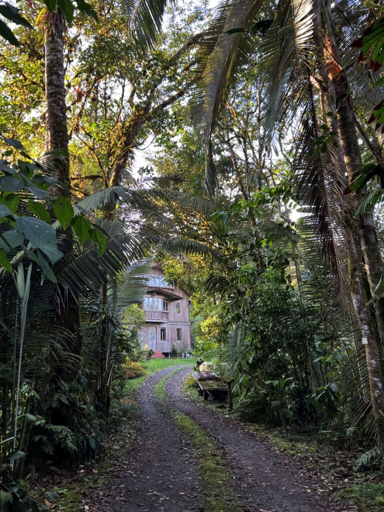 A narrow road leads through the forest to the Eco-Center at Mindo Lindo near Mindo, Ecuador