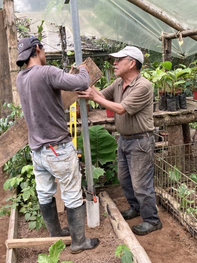 Pedro working in the greenhouse with a volunteer.