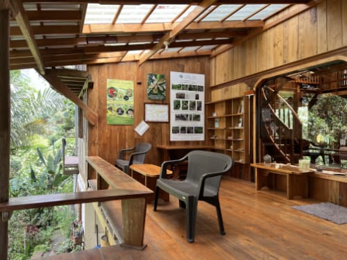 An open terrace with seating for observing birds at Mindo Lindo